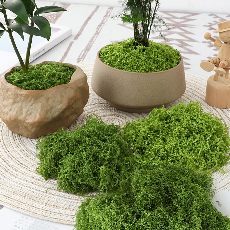 Terrarium Moss Art - Césped artificial de musgo, alfombra de