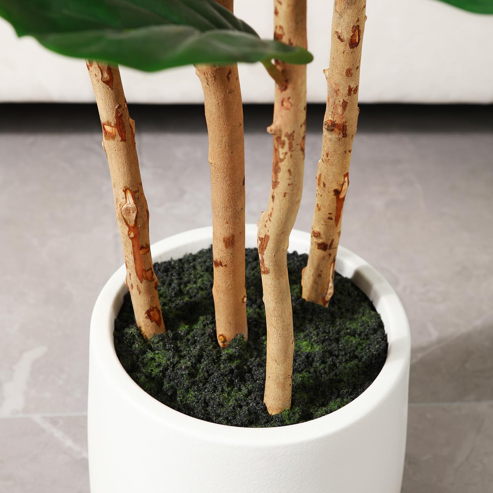 Árbol artificial de fico de ho - Terrarium Moss Art reseña y precio